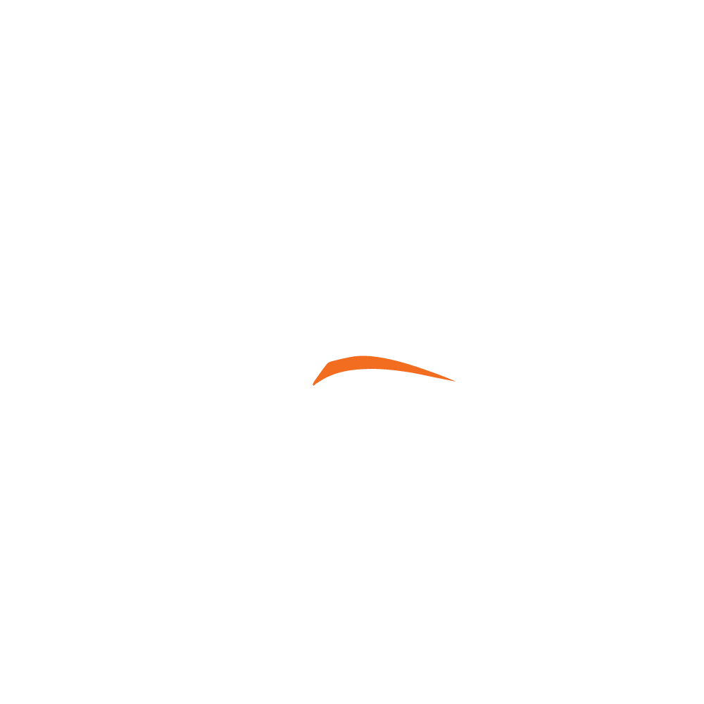 Logo_ZebraStrategies